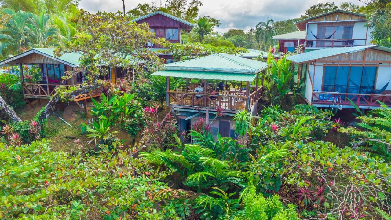 Las Cotingas Ocean View Drake Bay Exterior photo